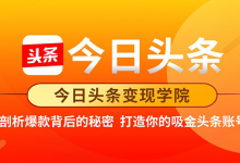 今日头条变现学院·剖析爆款背后的秘密,打造你的吸金头条账号,价值3000元-蜗牛学社