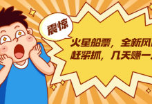 火星船票,全新风口赶紧抓,几天赚一万+摆地摊卖尾货一双能挣三四十(包含5个项目)-蜗牛学社