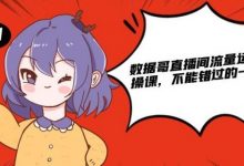 数据哥直播间流量运营线上实操课,不能错过的一套系统课-蜗牛学社