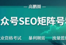 高鹏圈公众号SEO矩阵号群,实操20天纯收益25000+,普通人都能做-蜗牛学社