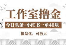工作室撸金二件套:撸今日头条原创收益+小红书一单利润40块项目-蜗牛学社