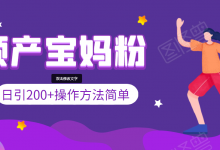 引200+预产期宝妈,从预产期到K12教育持续转化,操作方法简单-蜗牛学社