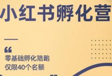 勇哥小红书撸金快速起量项目:教你如何快速起号获得曝光,做到月躺赚在 3000+-蜗牛学社