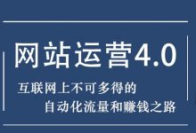 暴疯团队网站赚钱项目4.0:网站运营与盈利,实现流量与盈利自动化的赚钱之路-蜗牛学社