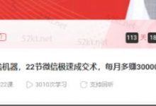 子薇:打造你的赚钱机器,22节微信极速成交术,每月多赚30000+-蜗牛学社