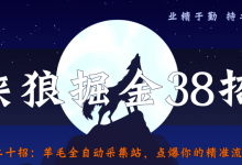 侠狼掘金38招第20招羊毛全自动采集站,点爆你的精准流量-蜗牛学社