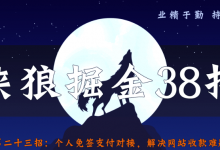 侠狼掘金38招第23招个人免签支付对接,彻底解决网站收款问题!-蜗牛学社