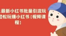 2021最新小红书批量引流玩法,轻松玩赚小红书【视频课程】-蜗牛学社