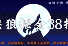 侠狼掘金38招第35招流量指路标,工具集合导航站,被动躺赚月入3000+【视频课程】-蜗牛学社