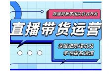 数据哥·新直播带货运营课(含电子资料):破冷启动、818算法破解、高效率带货等-蜗牛学社