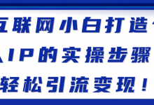 互联网小白打造个人IP的实操步骤,轻松引流变现!【视频教程】-蜗牛学社