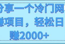 分享一个冷门网赚项目，轻松日赚2000+【视频教程】-蜗牛学社