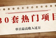 30套热门项目:单日最高收入过万 (网赚项目、朋友圈、涨粉套路、抖音、快手)等-蜗牛学社