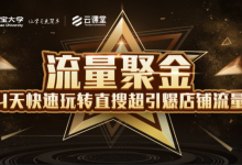 淘宝大学:流量聚金14天快速玩转直搜,超引爆店铺流量,价值8800元-蜗牛学社