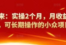 祖小来:实操2个月,月收益2万+,可长期操作的小众项目-蜗牛学社