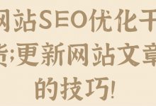 网站SEO优化干货;更新网站文章的技巧!【视频教程】-蜗牛学社