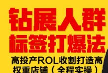 钻展人群标签打爆法,高投产ROL收割打造高权重店铺(全程实操)-蜗牛学社