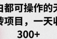 小白都可操作的无脑搬砖项目,一天收益300+【视频教程】-蜗牛学社