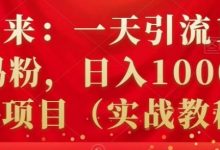 祖小来:一天引流100+宝妈粉,日入1000+的蓝海项目(实战教程)-蜗牛学社