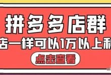大凯电商·拼多多店群单店一样可以产出1万5以上利润-蜗牛学社
