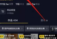 抖音蓝海项目是什么(抖音蓝海项目怎么做)-蜗牛学社