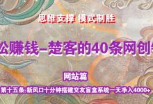 《楚客的40条锦囊-网站篇》第十五条:新风口十分钟搭建交友盲盒系统一天净入4000+-蜗牛学社