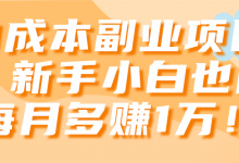 0成本副业项目,新手小白也能每月多赚1万!【视频教程】-蜗牛学社