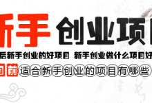 怎么赚钱快又多?创业赚钱的好项目推荐,适合新手的创业项目-蜗牛学社