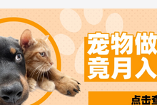 月入3万的宠物自媒体怎么做,宠物自媒体运营方法-蜗牛学社