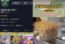 创业赚钱玩转抖音生活号,日收入稳定500加-蜗牛学社