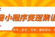 抖音小程序变现集训课,养号、起号、书单、趣味测试、视频剪辑,全套流程-蜗牛学社