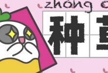 小红书种草是什么意思(小红书种草推广)-蜗牛学社