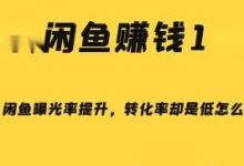 闲鱼转化率多少正常(闲鱼转化率低不给曝光怎么办)-蜗牛学社