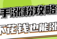 快手如何快速涨粉到1万(快手如何快速涨粉丝免费)-蜗牛学社