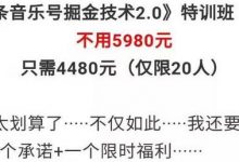头条号音乐领域怎么做(头条音乐号项目)-蜗牛学社