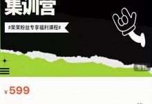 夜草与千里马素人短视频带货集训营,薛辉团队价值599-蜗牛学社