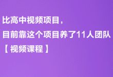 比高中视频项目,目前靠这个项目养了11人团队【视频课程】-蜗牛学社