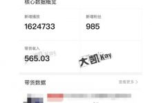 大凯进阶圈新玩法之拼多多视频玩法,利润大概一个号一天能有500~1500的左右!-蜗牛学社