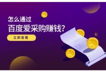 大王·怎么通过百度爱采购赚钱,已经通过百度爱采购完成200多万的销量-蜗牛学社