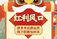 左右电商拼多多无货源店群玩法:从0~1,36节实战保姆教程,极速起店必出单-蜗牛学社