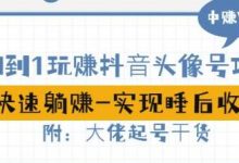 从0到1玩赚抖音头像号:快速躺赚-实现睡后收!附:大佬起号干货!-蜗牛学社