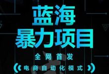 引流哥蓝海暴力躺赚项目:无需发圈无需引流无需售后,每单赚50-500(教程+线报群)-蜗牛学社