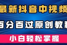 最新抖音中视频百分百过原创教程,深度去重,小白轻松掌握-蜗牛学社