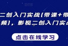 影视二创入门实战(带课+带货+中视频),影视二创入门实战课-蜗牛学社