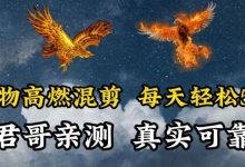 动物超燃混剪，每天轻松5张，剪辑简单大家爱看-蜗牛学社