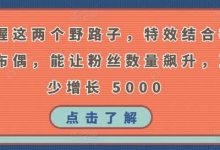 掌握这两个野路子,特效结合神奇布偶,能让粉丝数量飙升,至少增长 5000-蜗牛学社