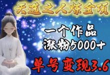 天选之人炼金项目,一个作品涨粉5000+,单号变现3.6w-蜗牛学社