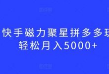 最新快手磁力聚星拼多多玩法,轻松月入5000+-蜗牛学社