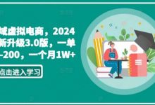 私域虚拟电商,2024全新升级3.0版,一单50-200,一个月1W+-蜗牛学社
