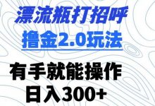 漂流瓶打招呼撸金2.0玩法,有手就能做,日入300+-蜗牛学社